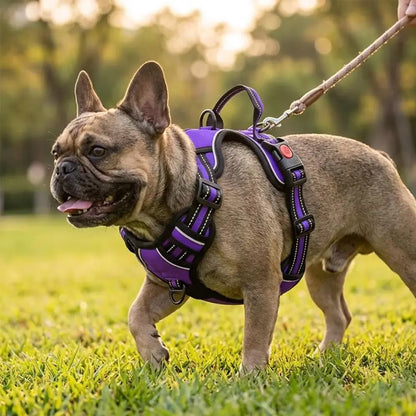 HELETY 3-in-1 Adjustable No-Pull Dog Vest Harness and Leash Set, Available in S-XL, Dual D-Ring Clips, 360° Reflective Design, Padded Chest for Comfort, Durable Oxford Fabric, Night Safety Features, Integrated Poop Bag Holder, Tangle-Free Bungee Strap for Running