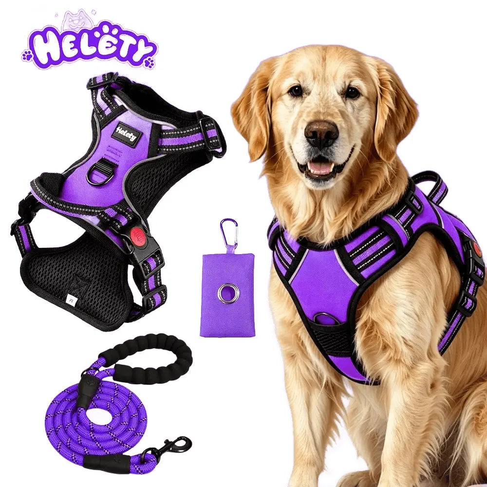 HELETY 3-in-1 Adjustable No-Pull Dog Vest Harness and Leash Set, Available in S-XL, Dual D-Ring Clips, 360° Reflective Design, Padded Chest for Comfort, Durable Oxford Fabric, Night Safety Features, Integrated Poop Bag Holder, Tangle-Free Bungee Strap for Running
