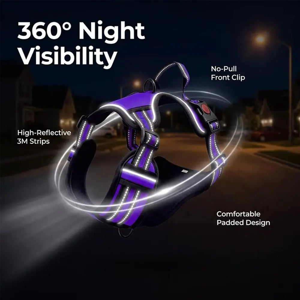 HELETY 3-in-1 Adjustable No-Pull Dog Vest Harness and Leash Set, Available in S-XL, Dual D-Ring Clips, 360° Reflective Design, Padded Chest for Comfort, Durable Oxford Fabric, Night Safety Features, Integrated Poop Bag Holder, Tangle-Free Bungee Strap for Running