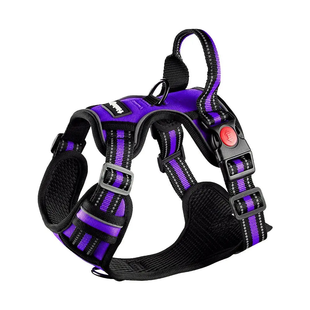 HELETY 3-in-1 Adjustable No-Pull Dog Vest Harness and Leash Set, Available in S-XL, Dual D-Ring Clips, 360° Reflective Design, Padded Chest for Comfort, Durable Oxford Fabric, Night Safety Features, Integrated Poop Bag Holder, Tangle-Free Bungee Strap for Running