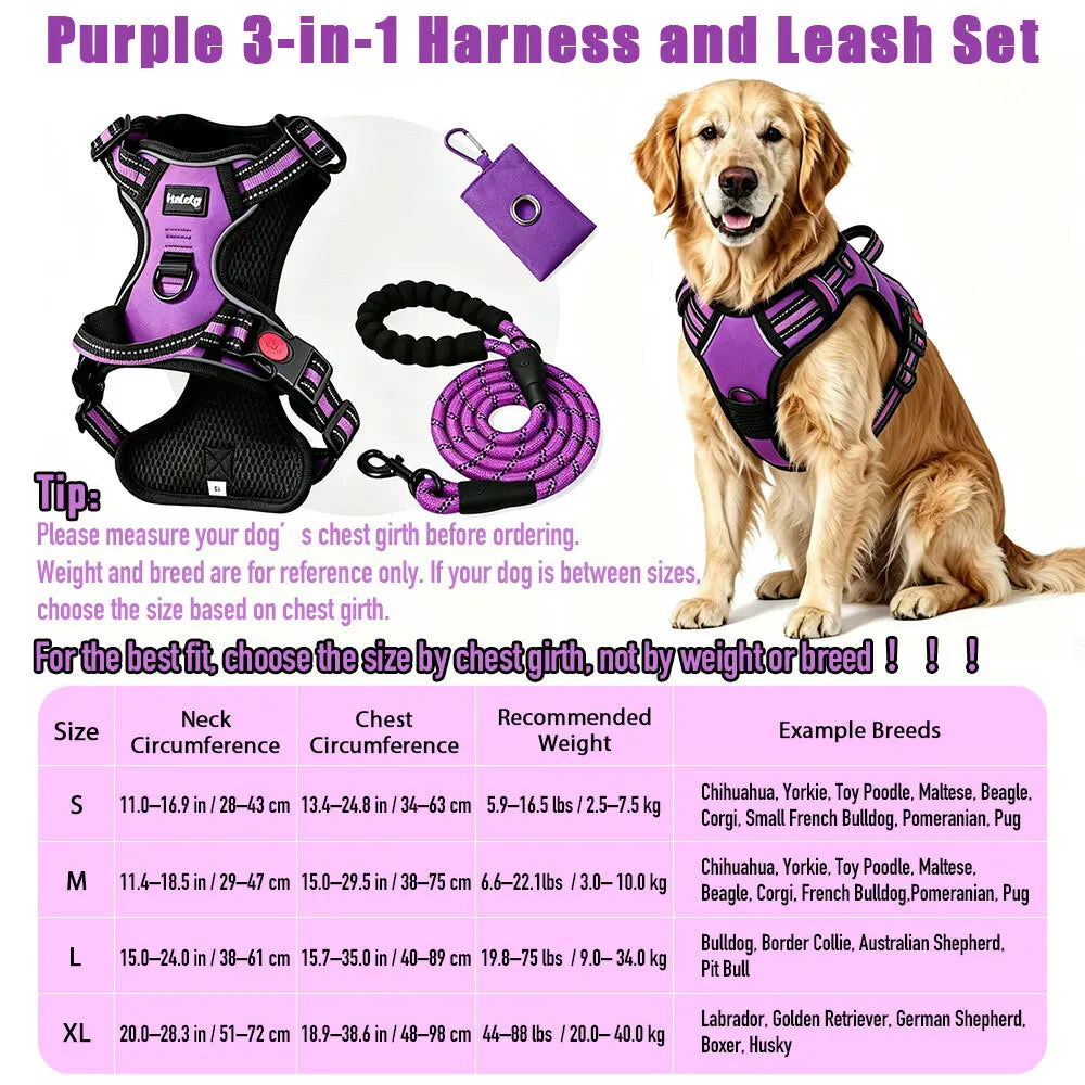 HELETY 3-in-1 Adjustable No-Pull Dog Vest Harness and Leash Set, Available in S-XL, Dual D-Ring Clips, 360° Reflective Design, Padded Chest for Comfort, Durable Oxford Fabric, Night Safety Features, Integrated Poop Bag Holder, Tangle-Free Bungee Strap for Running