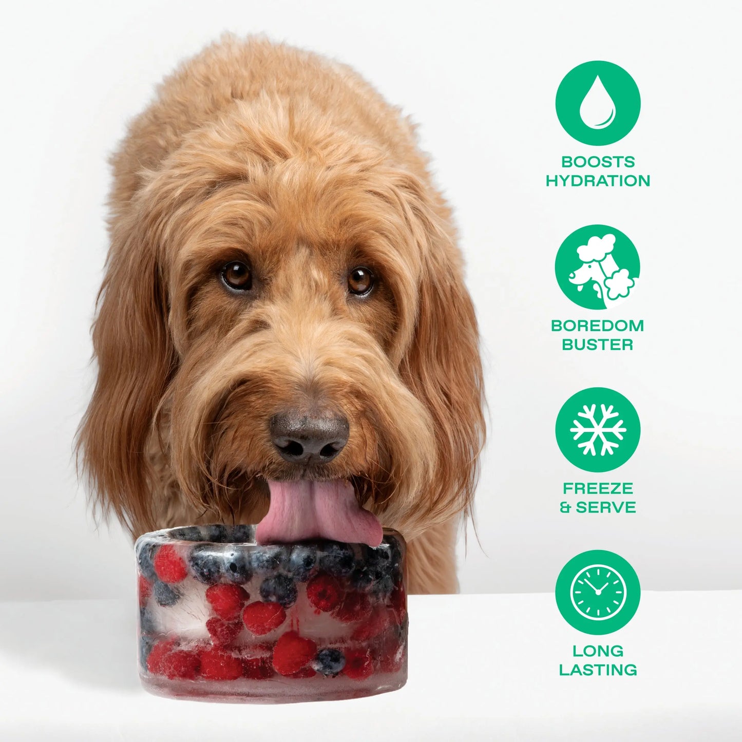 Customizable Frozen Dog Treat Bowl